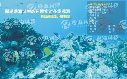海洋觀測系統(tǒng)：水下波浪在線觀測系統(tǒng)